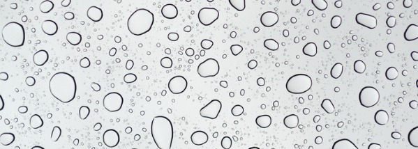 Importance of Accurate Moisture Measurement