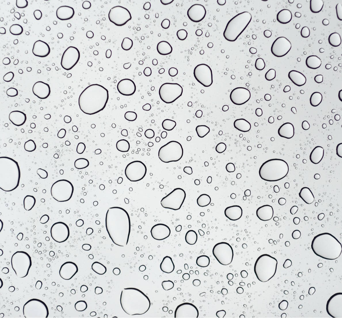 Importance of Accurate Moisture Measurement