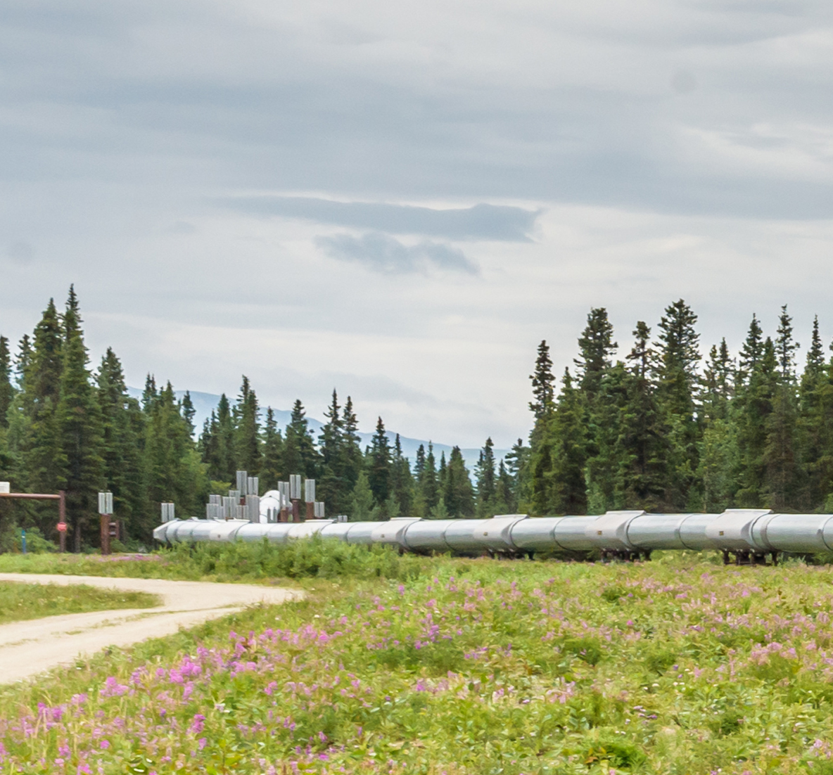 TDLAS Natural Gas Pipeline